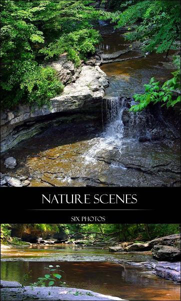 images of nature scenes. Nature Scenes by ~Ardenstock
