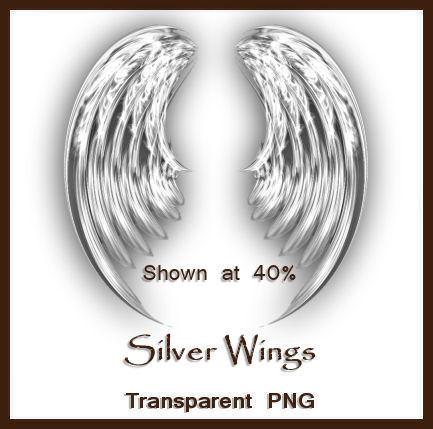 Silver Wings [1922]