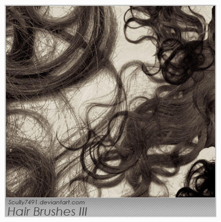 http://fc03.deviantart.net/fs15/i/2007/048/7/a/Hair_Brushes_III_by_Scully7491.jpg