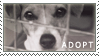Adopt A Dog Stamp by cloudrat
