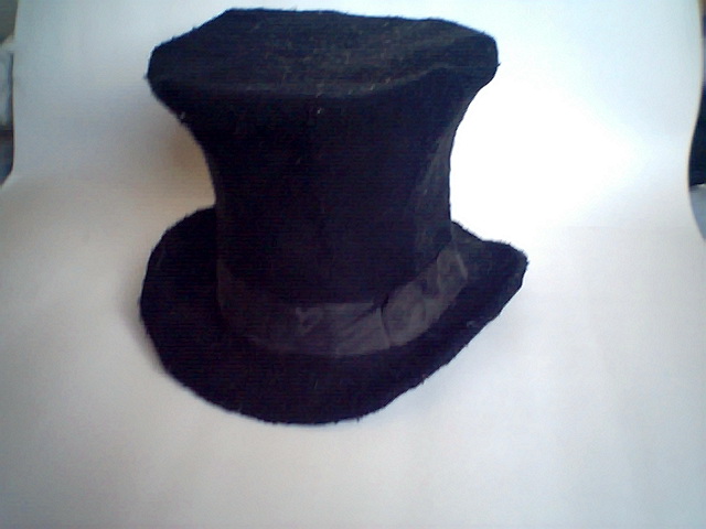 Willie`S Hat [1897]