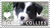 Border_Collie_Puppy_Love_Stamp_by_cloudrat.gif