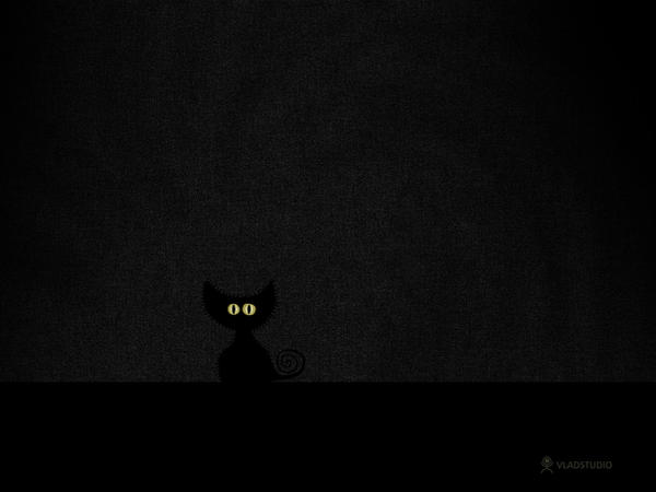 Black_Cat_in_Dark_Room_by_vladstudio.jpg