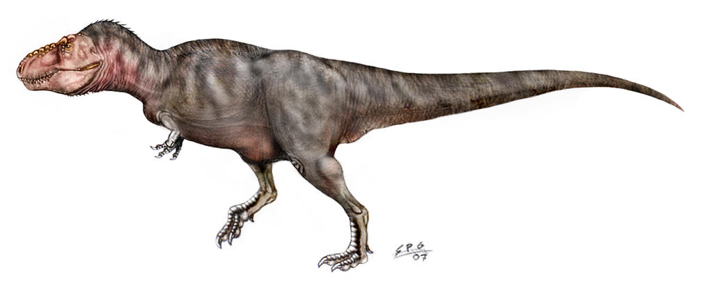 Tyrannosaurus revised by unlobogris