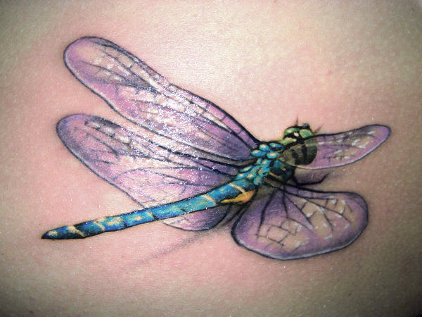 dragon fly tattoos. dragonfly tattoo by Kathy Kay