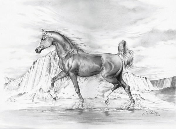arabian horse wallpaper. Arabian Horse II by