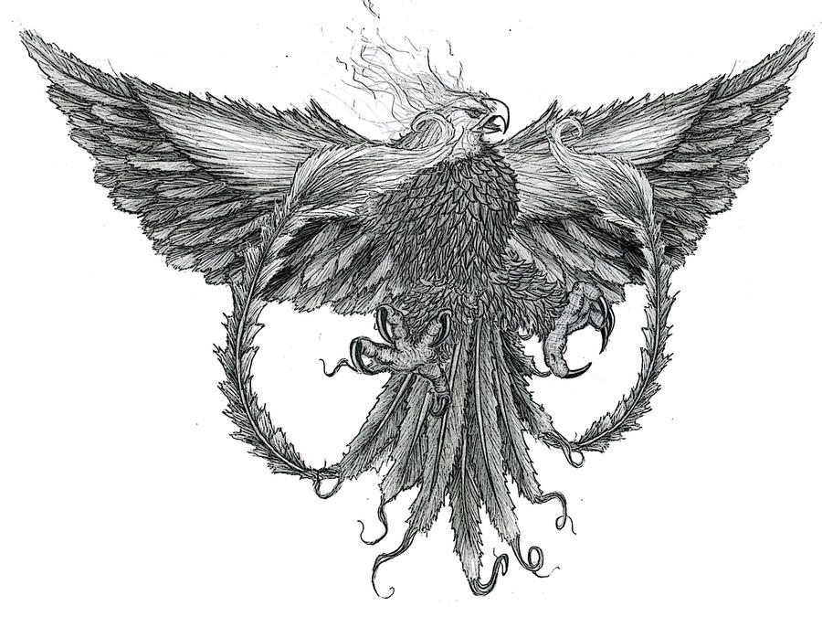 The Phoenix Tattoo by ~NinjaPigProductions on deviantART