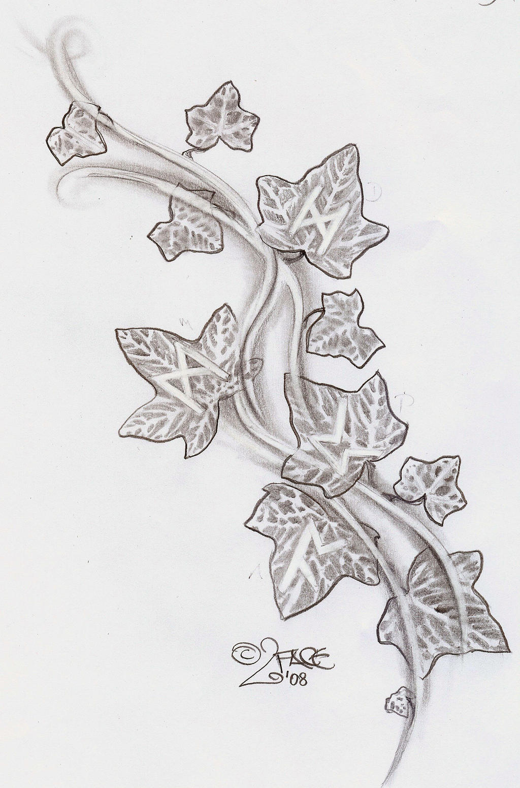 Ivy climbs runes Tattoo Design