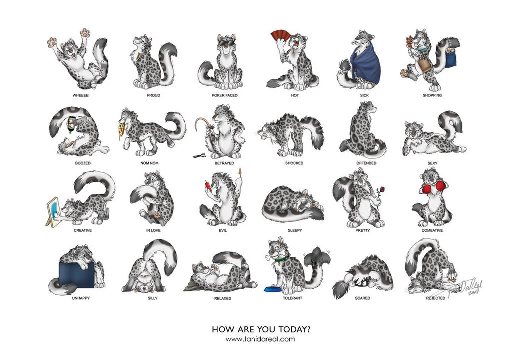How are you today - snow cats