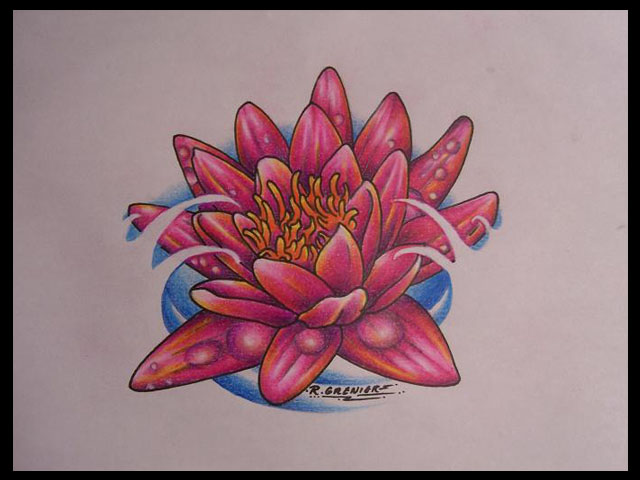 Water Lily Drawing | Flower Tattoo