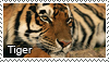 Tiger_stamp_by_Tollerka.png