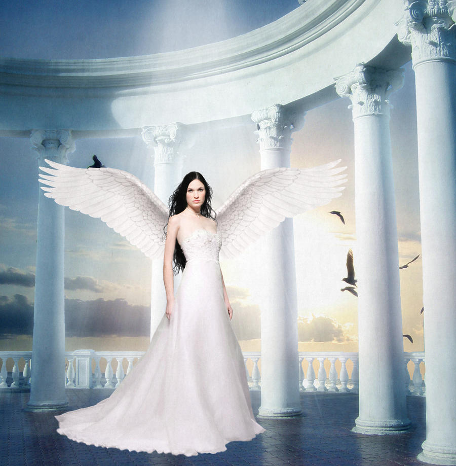 Angels Wings by