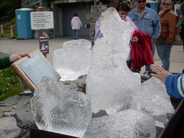 Ice Sculptures by Ameko Shadowsong