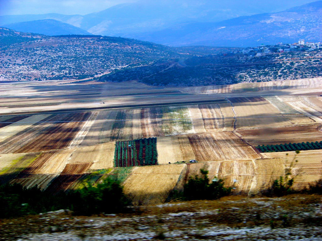 Israeli Fields by Holocene