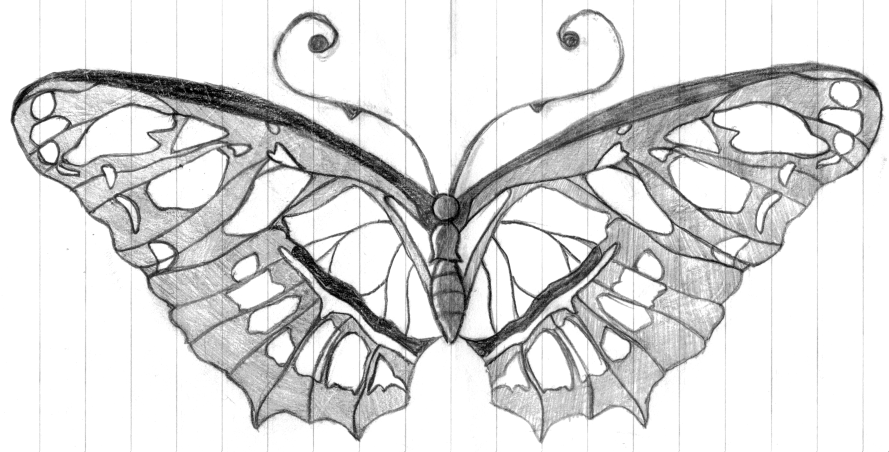 commision butterfly