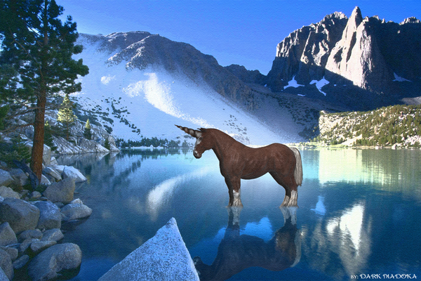 horse wallpaper. horn horse lake HD wallpaper