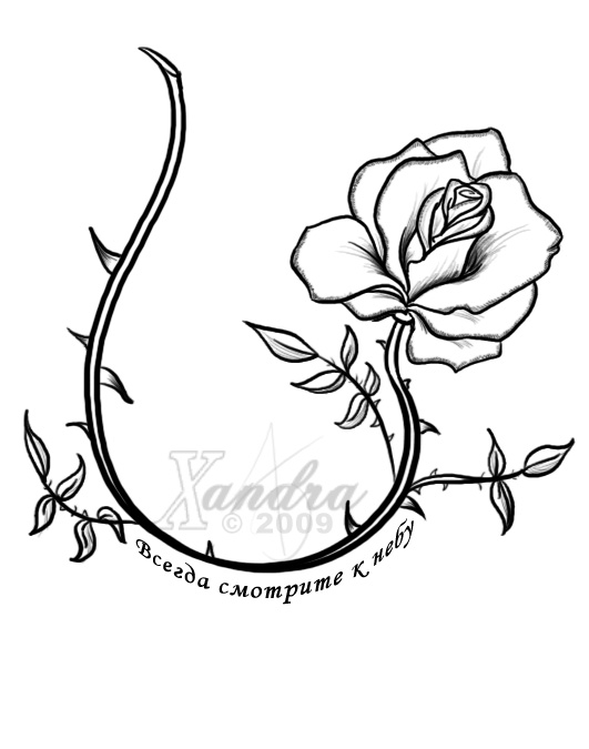 The Rose Vine tattoo flash by Xandrasama on deviantART