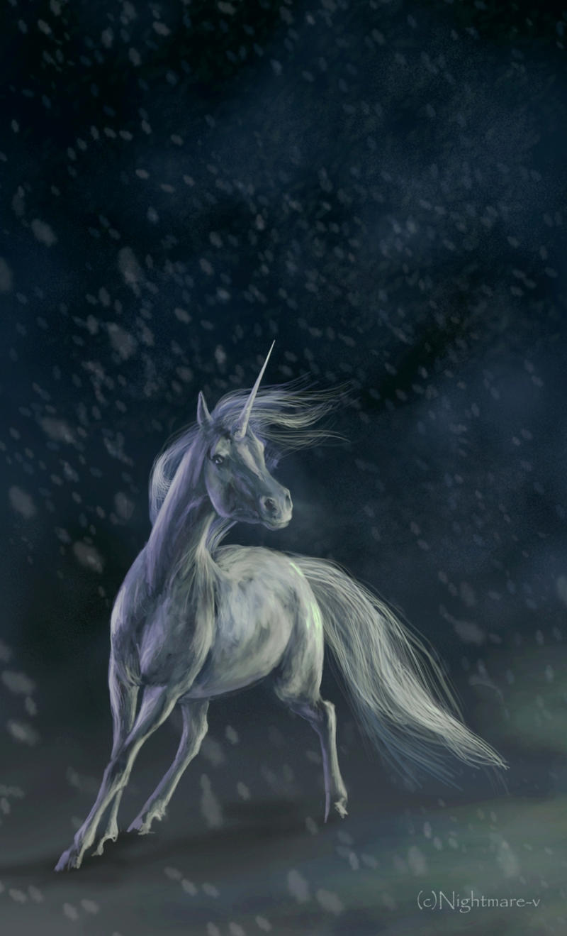 Unicorn_by_Nightmare_v.jpg