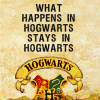 http://fc03.deviantart.net/fs44/f/2009/058/e/a/Hogwarts_Rules_1_by_Mazza_909.gif