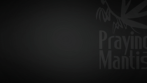 mgs wallpaper. MGS PSP Wallpaper 2 by