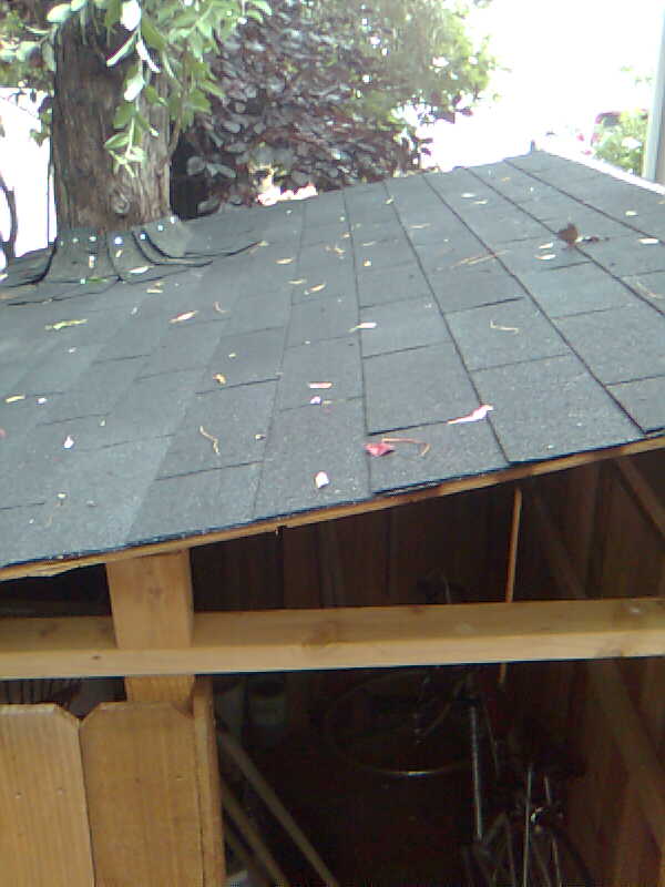 Shed Roof