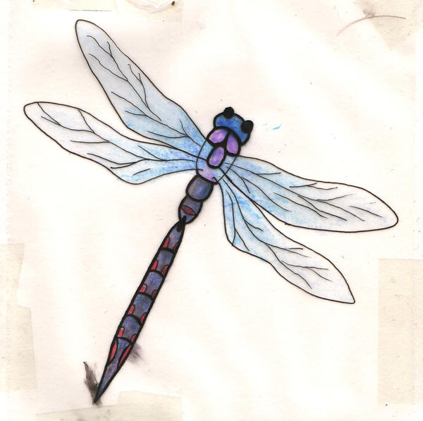 Blue and purple Dragonfly tatt - dragonfly tattoo