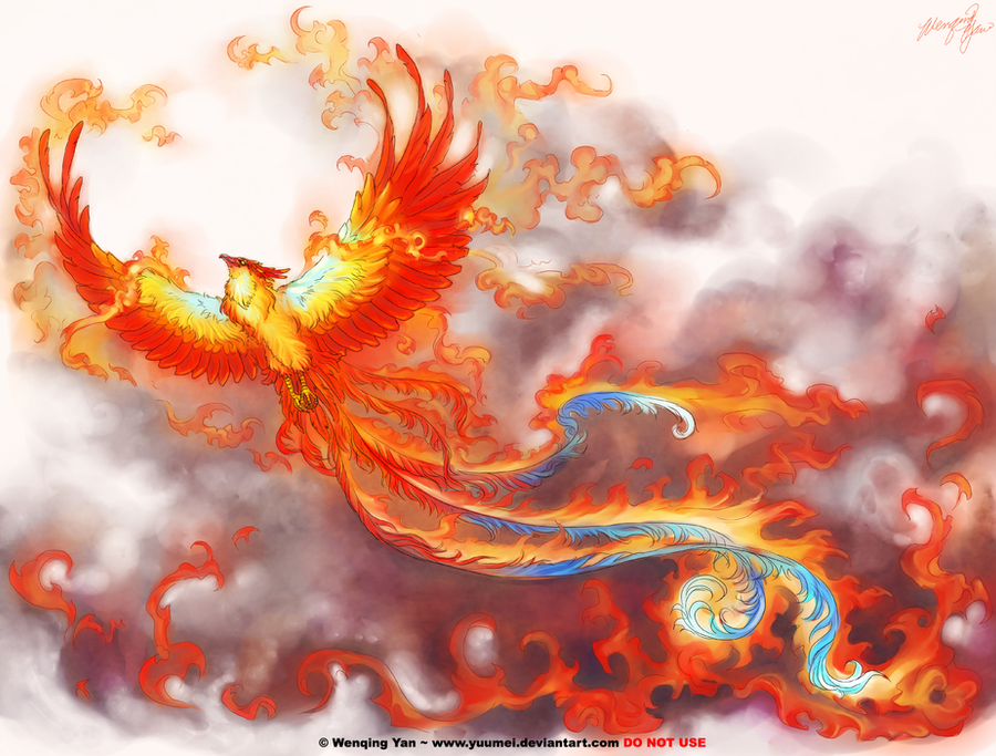 rising phoenix tattoo. Phoenix tattoo commission by