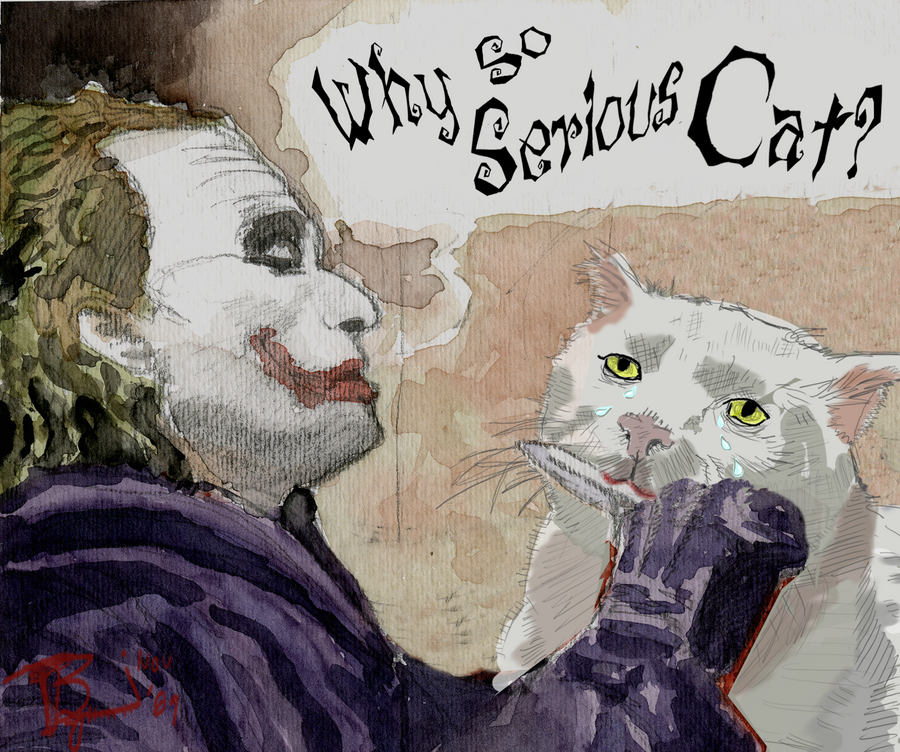 Why So Serious Cat by SkeletonBoy on deviantART
