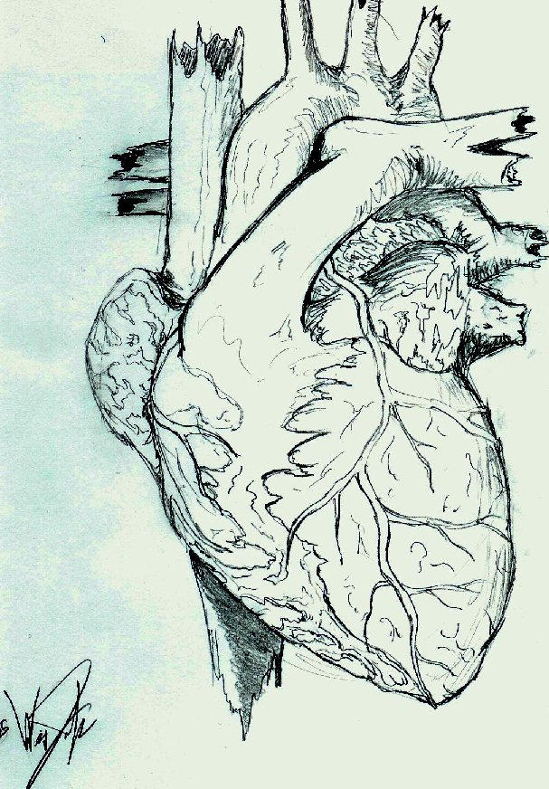 tattoo sketch heart