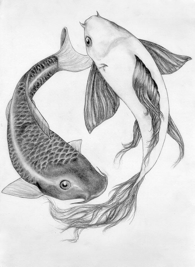 Koi Fish tattoo by buttis on deviantART koi fish drawing
