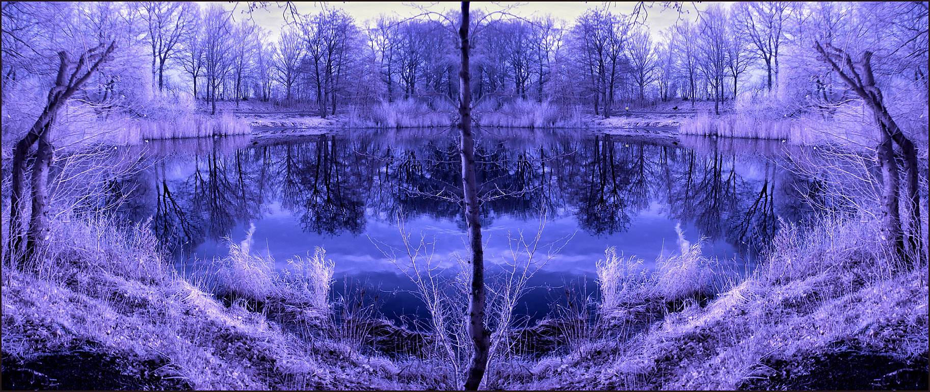 Horizontal Flip Lake infrared