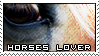 http://fc03.deviantart.net/fs70/f/2010/059/1/9/Horse_lover_Stamp_by_Mister_MX.png