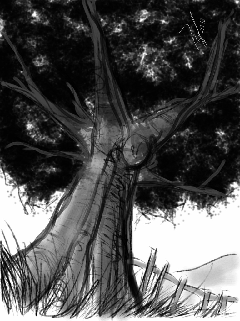 [Imagen: Tree_look_from_the_bottom_by_thewazaa.jpg]