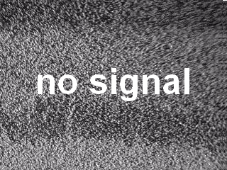 no_signal_by_neko_rapha-d373ss9.gif
