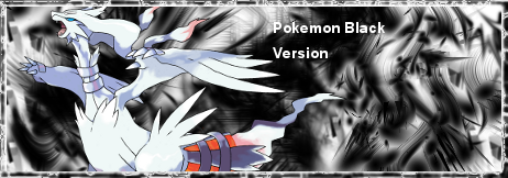 pokemon_black_banner_by_icearceus-d37xqrk.png