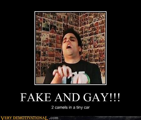 Fake And Gay 63