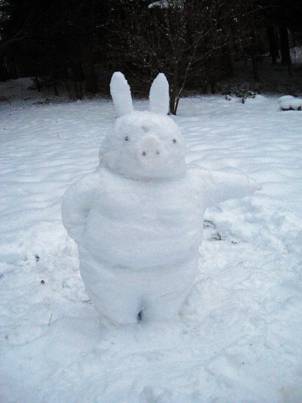 snowpig_1_by_emir0-d39aipy.png