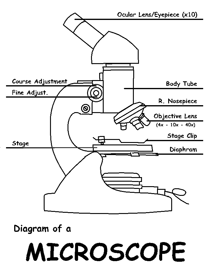 diagram of a microscope Diabetes Inc.