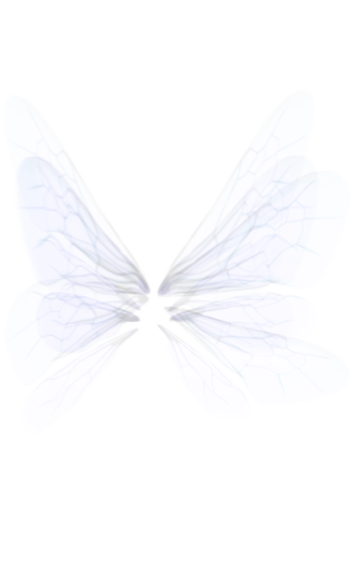 White Wing png by mysticmorning