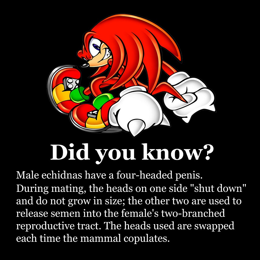 [Image: fun_facts_by_madforhatters-d55v0fc.jpg]