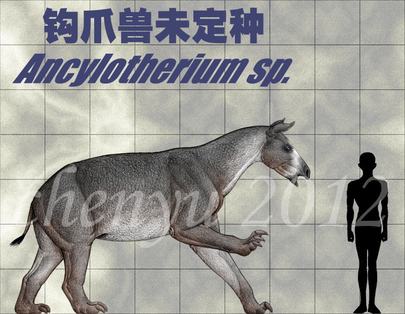http://fc03.deviantart.net/fs70/f/2012/267/5/d/ancylotherium_sp__by_sinammonite-d5fprgh.jpg