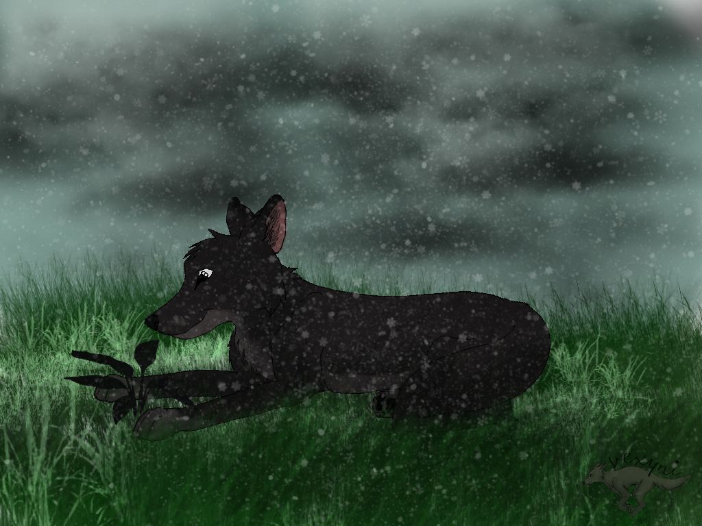 wolf_by_vexyni-d8k9u4a.png