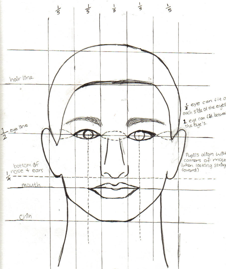 Facial Proportions Drawing 105