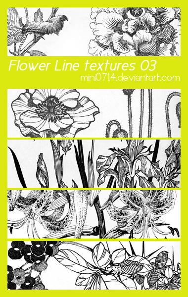 http://fc03.deviantart.net/fs70/i/2010/062/c/4/Flower_Line_textures_03_by_mini0714.jpg