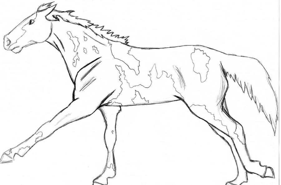 paint horse coloring pages - photo #1