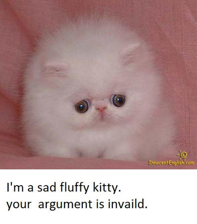 sad_fluffy_kitty_by_masterofwolves99-d2y