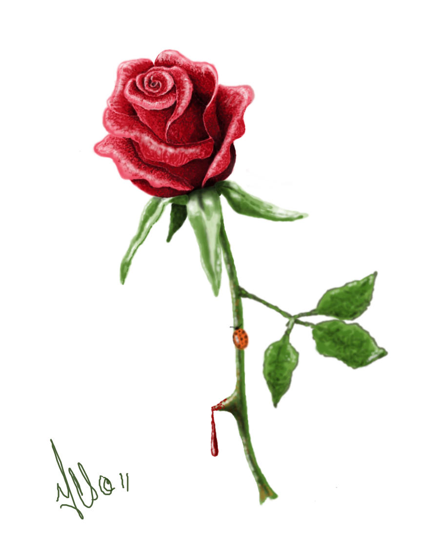 rose tattoo designs for lower