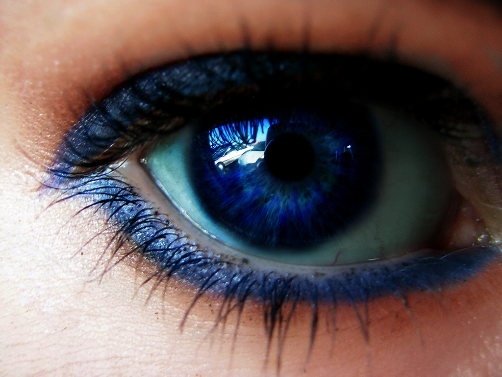 Blue-eyed dark-haired beauties - wide 5