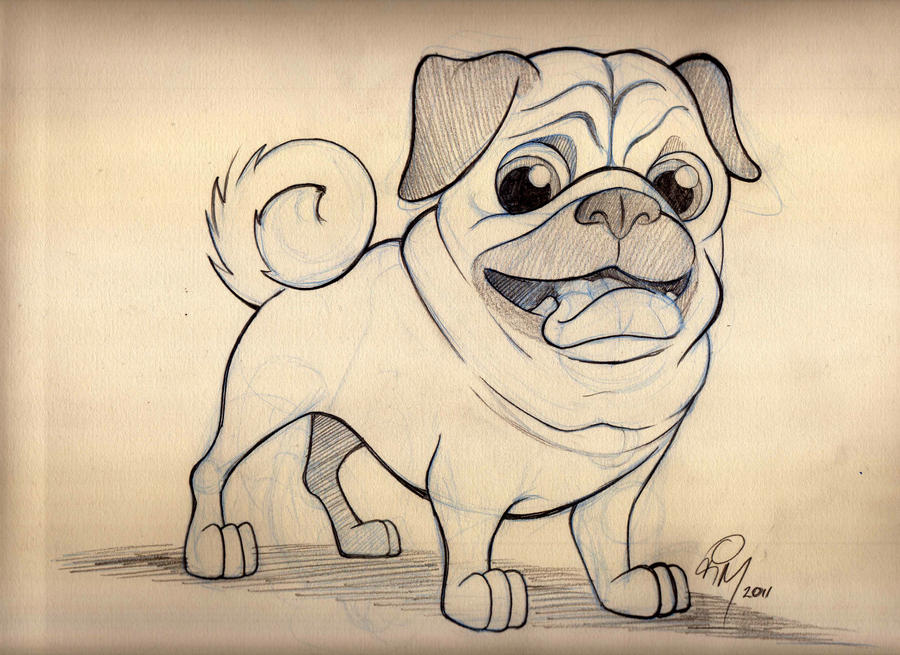 Pug Cartoon Sketch by timmcfarlin on DeviantArt