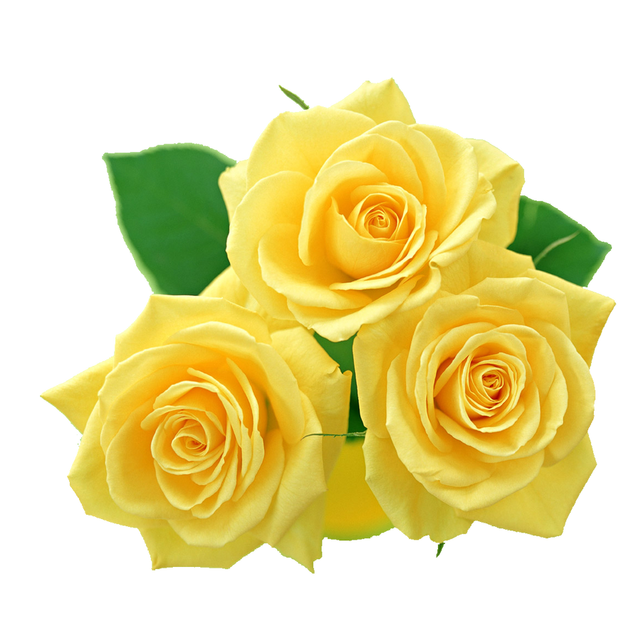 yellow roses pictures clip art - photo #16